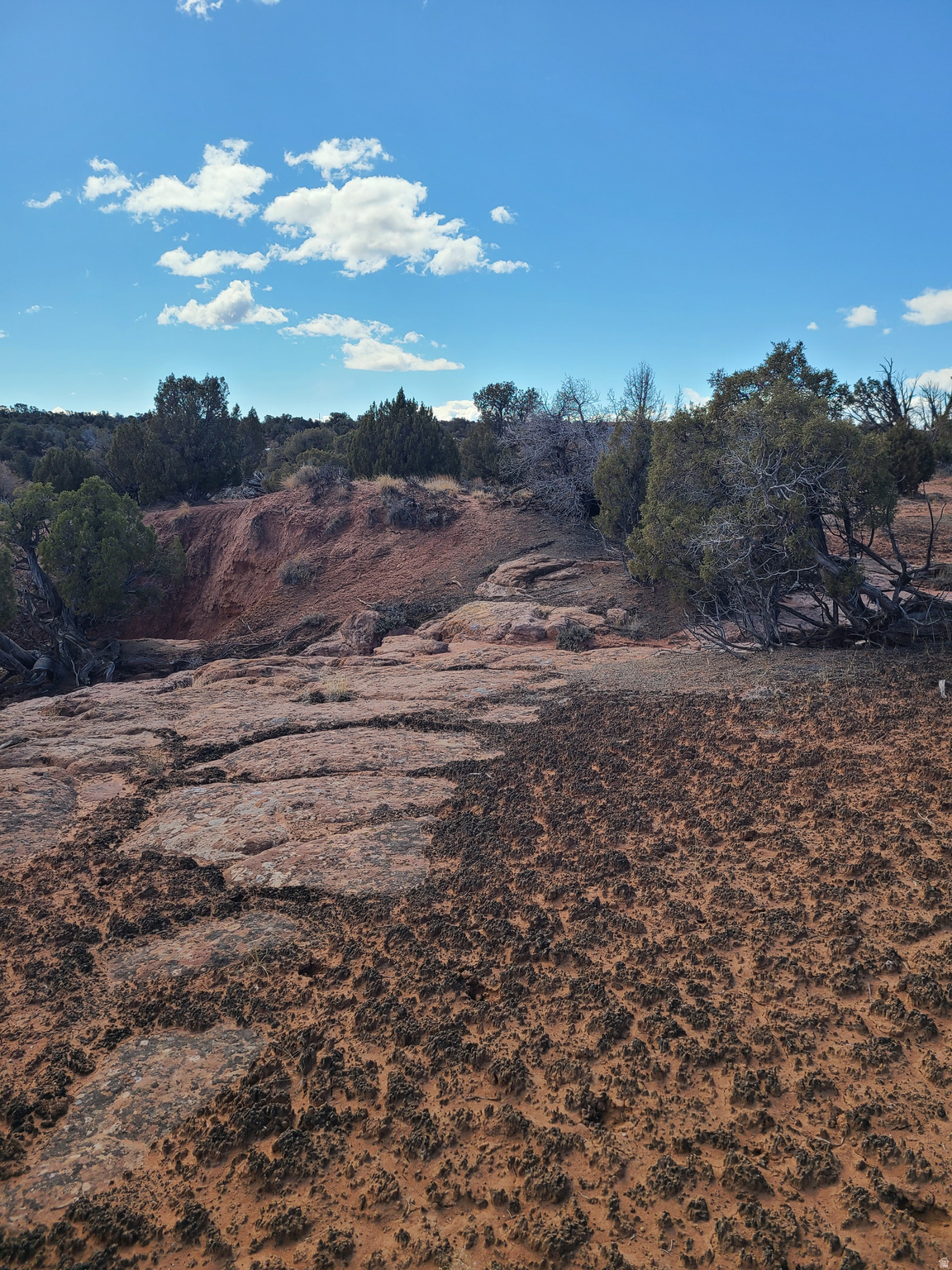 SUNDANCE WEST - Land