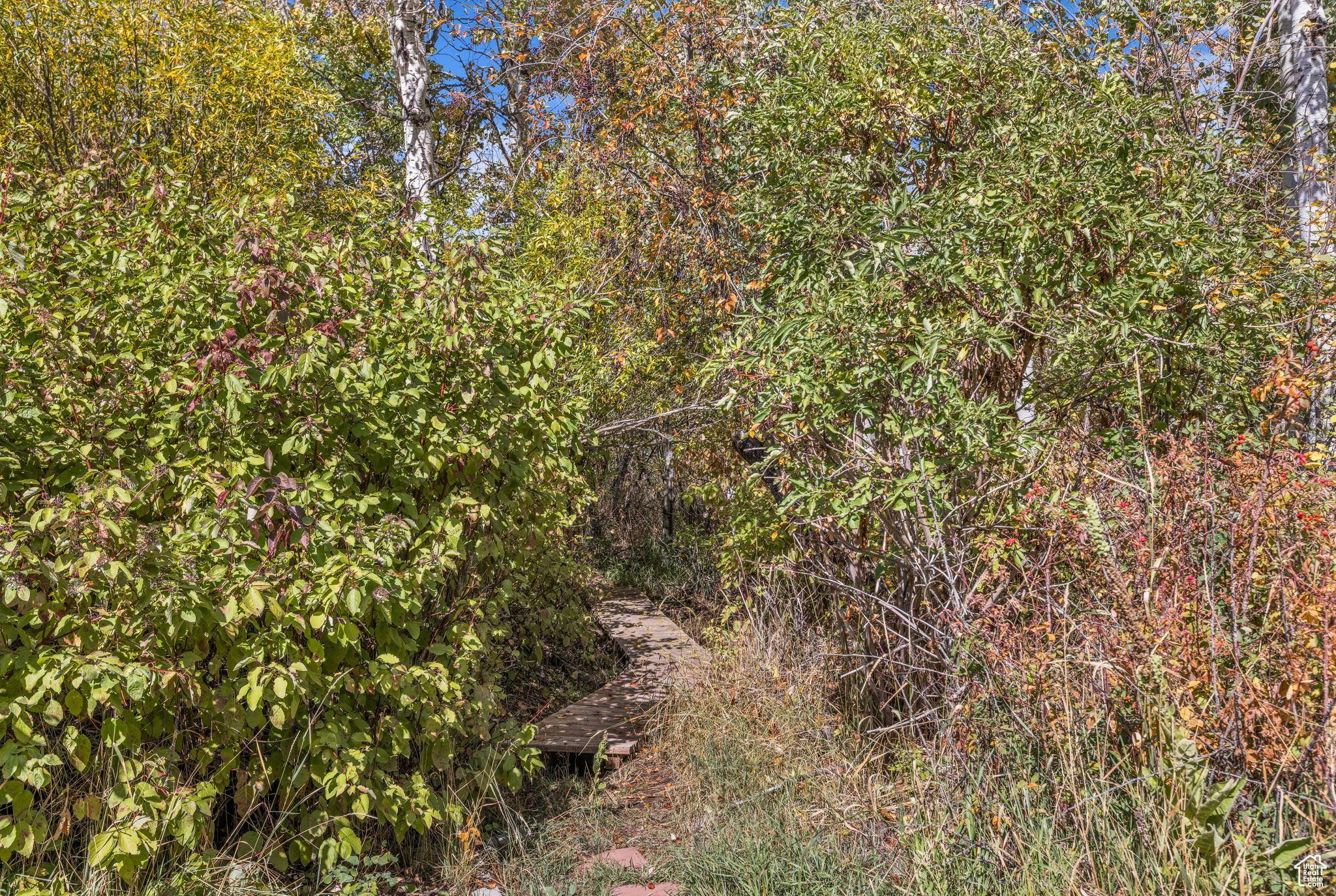 PARK WEST/HIDDEN CREEK - Residential