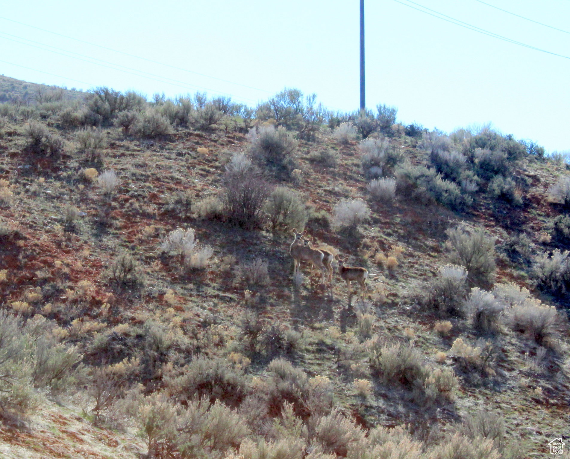 Land, Henefer, Utah image 6