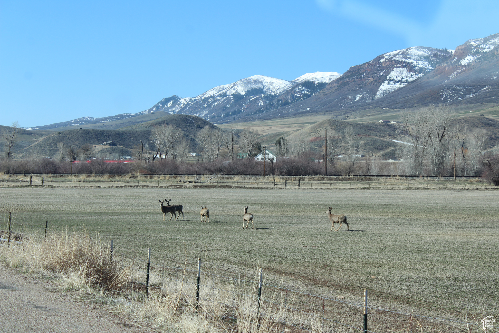 Land, Henefer, Utah image 4