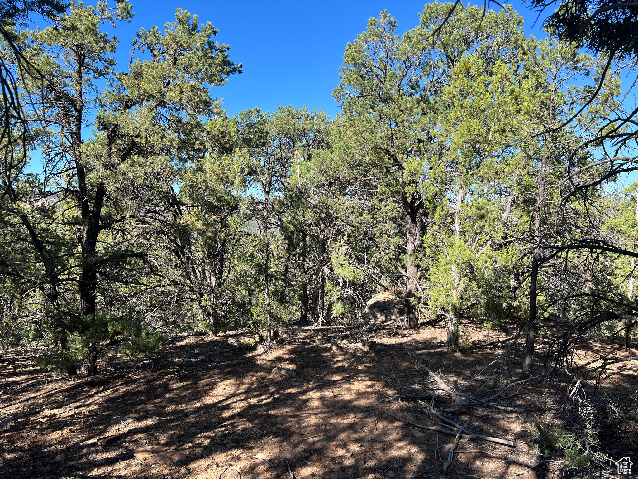 Land, La Sal, Utah image 33