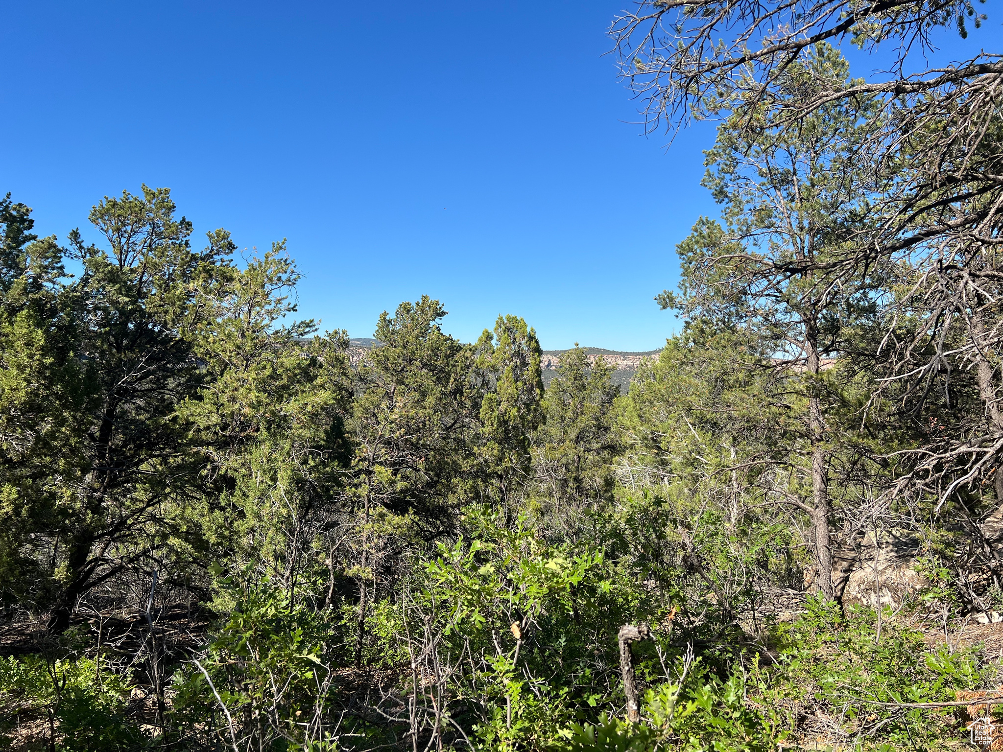 Land, La Sal, Utah image 35