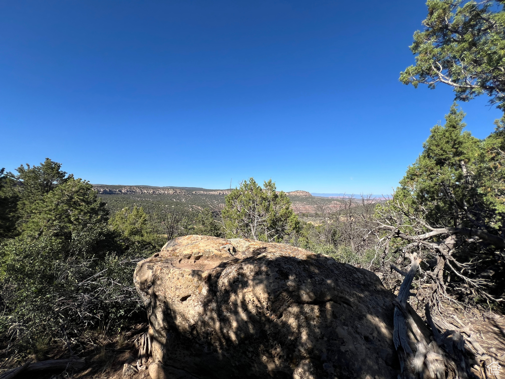 Land, La Sal, Utah image 23