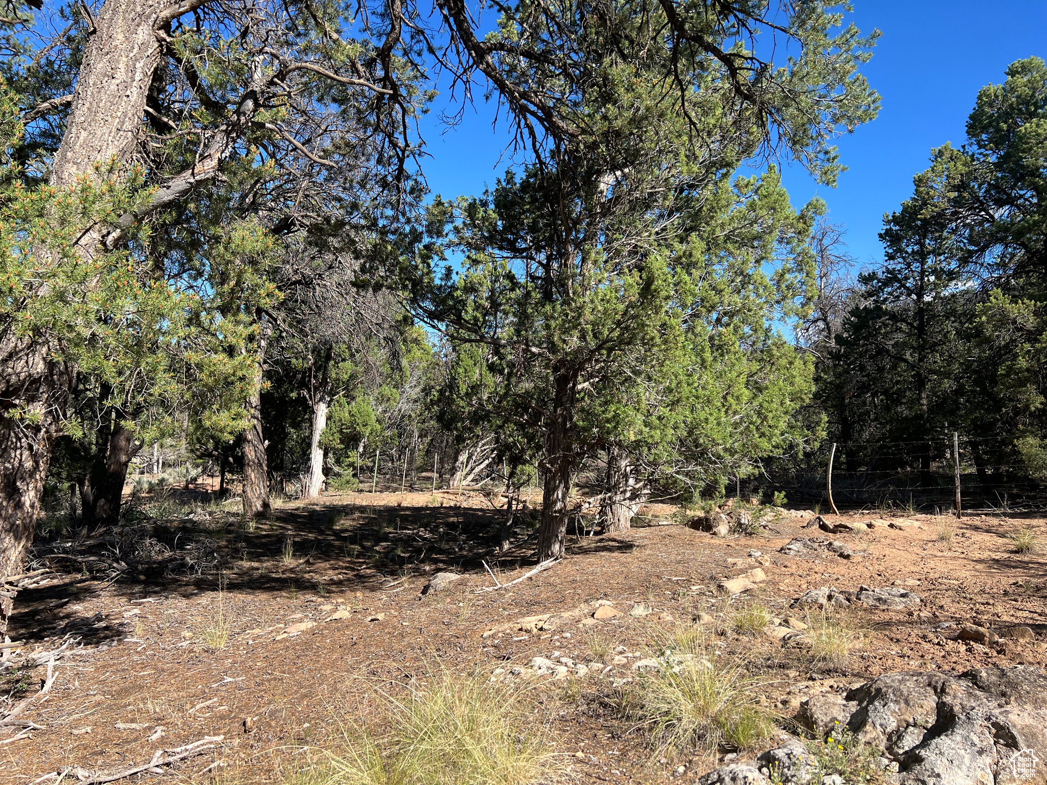 Land, La Sal, Utah image 29