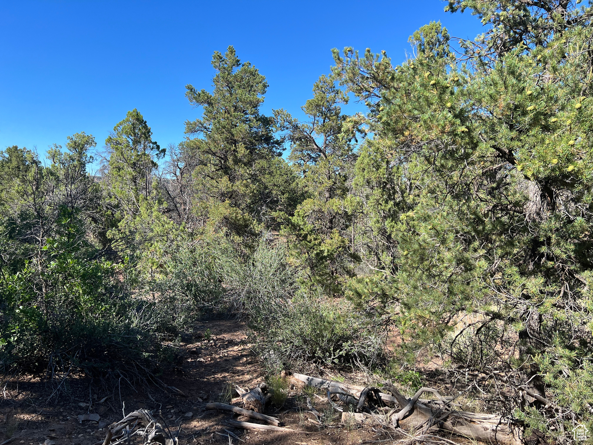 Land, La Sal, Utah image 27