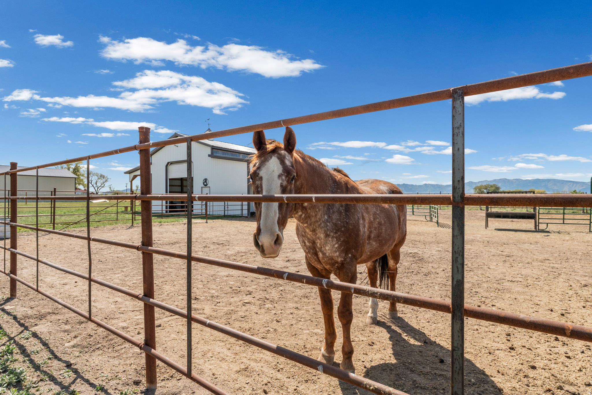 LAKESHORE RANCH - Residential