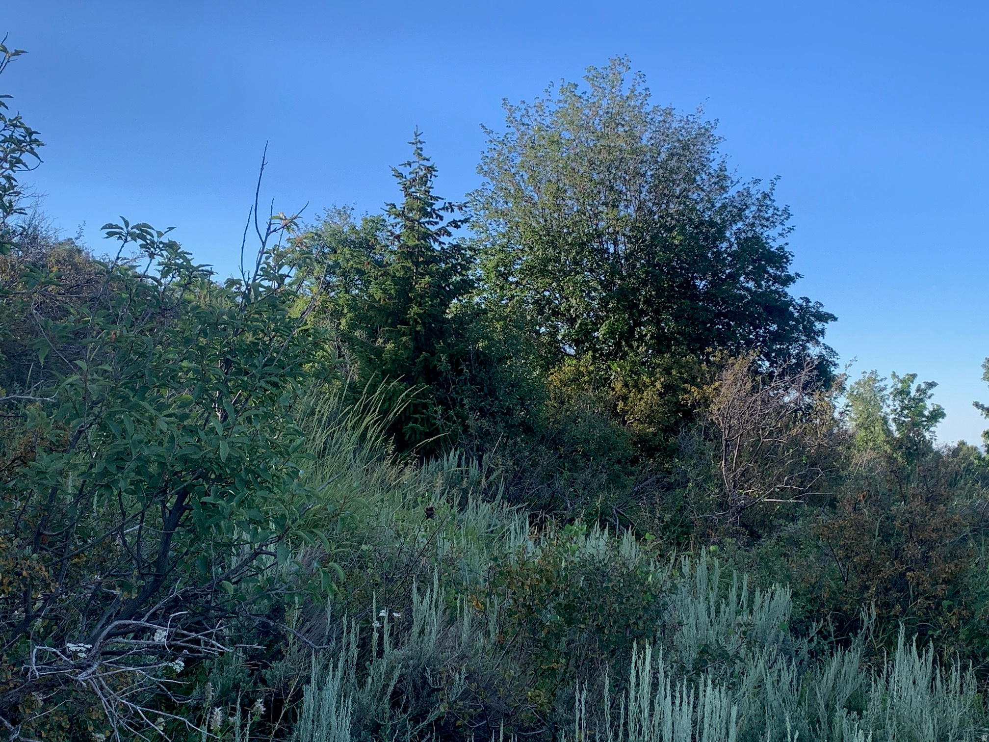 SWEETWATER SUB 1 - Land