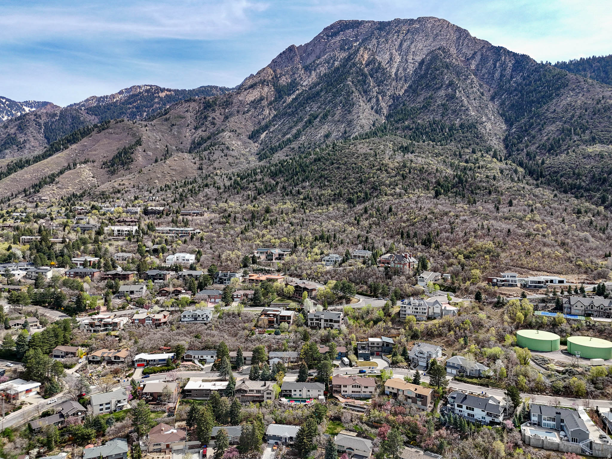 MOUNT OLYMPUS HILLS - Residential