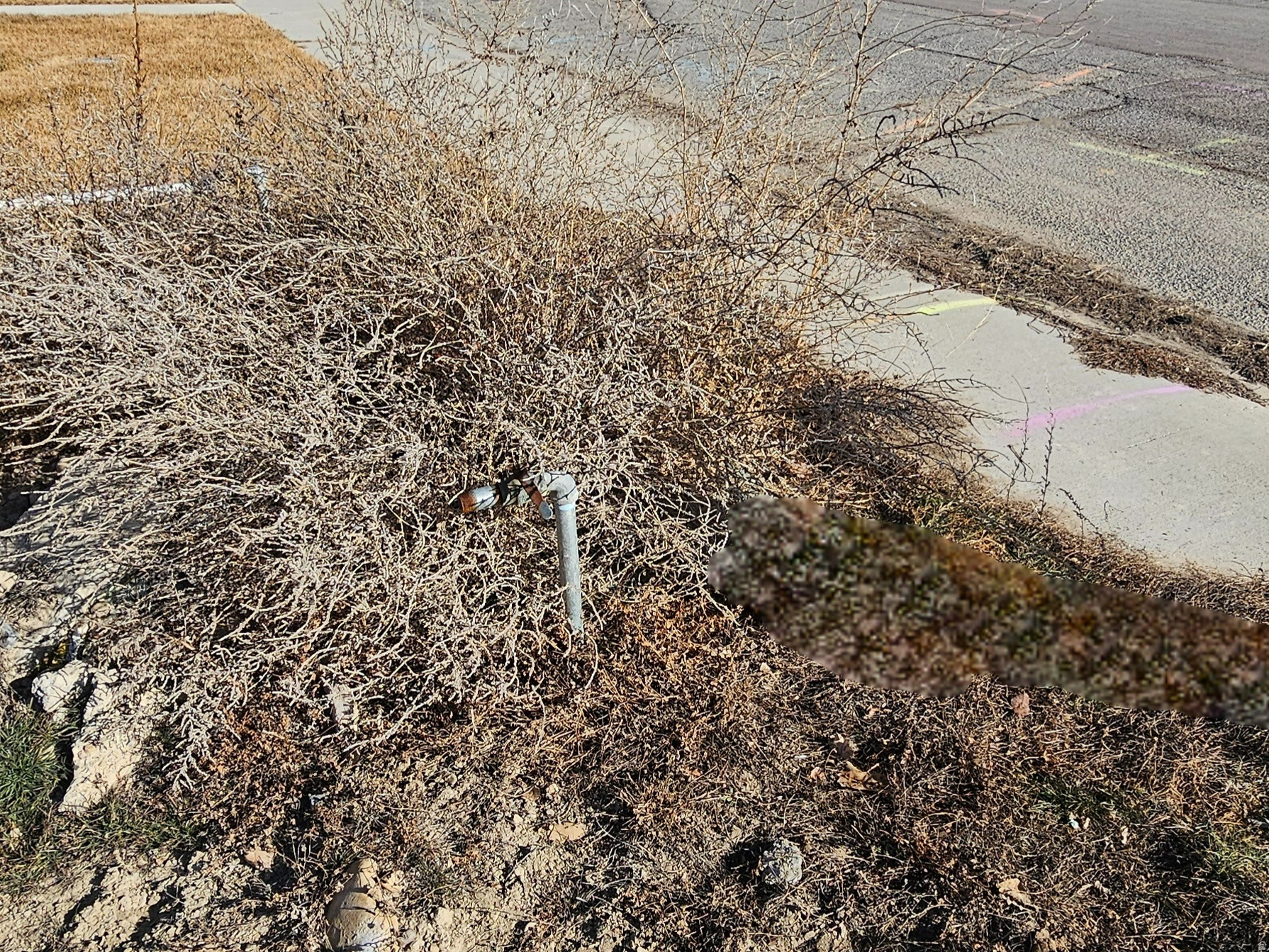 HILLVIEW VILLAGE - Land