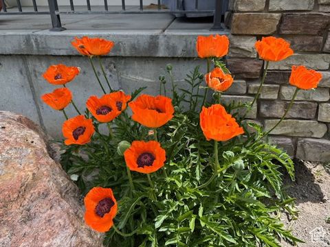 Tiny photo for 315 S BEAR LAKE BLVD, Garden City, UT 84028 (MLS # 2135121)