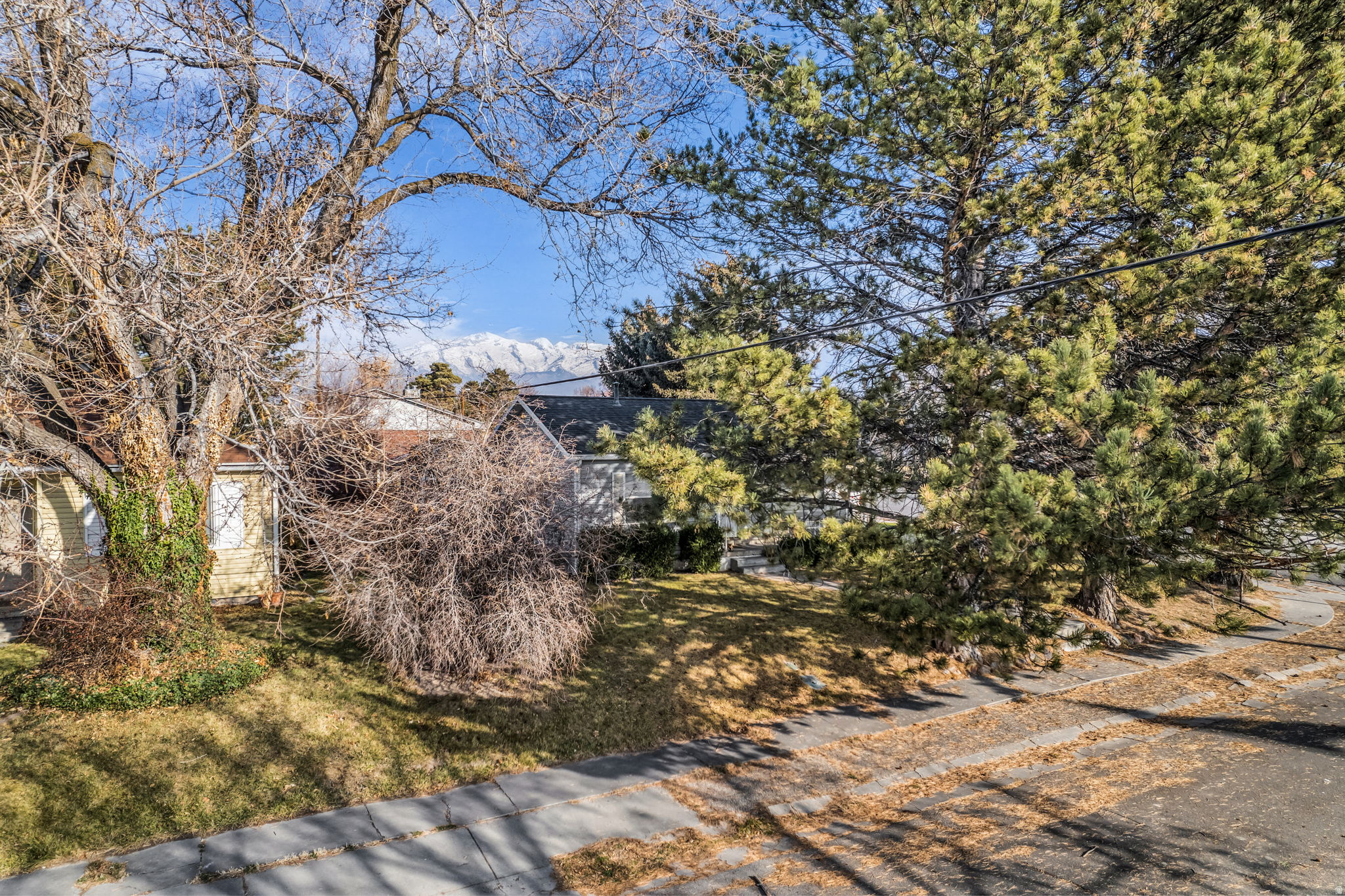 SKYLINE HEIGHTS - Residential