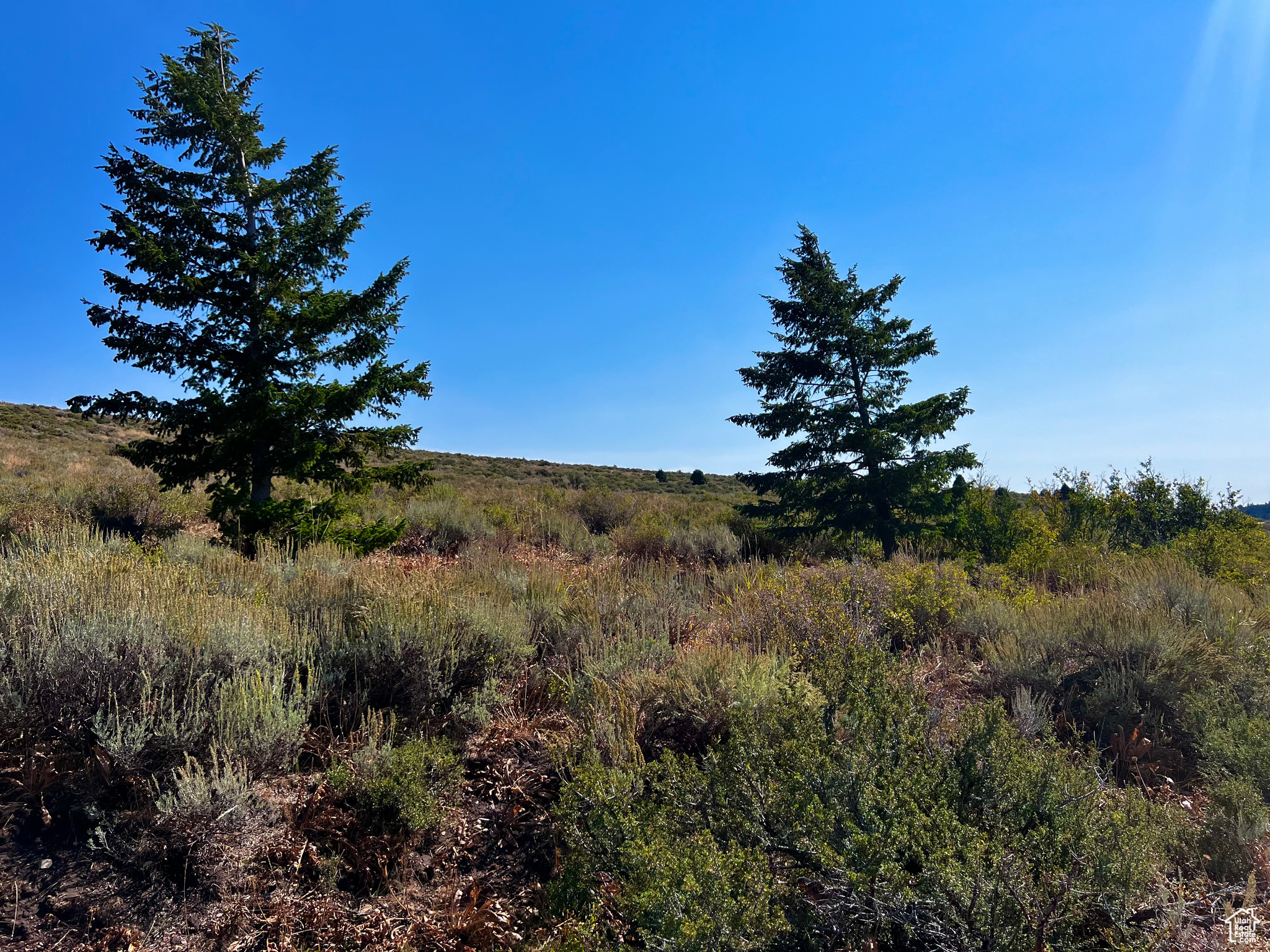 PEBBLE CREEK SUBDIVISION - Land