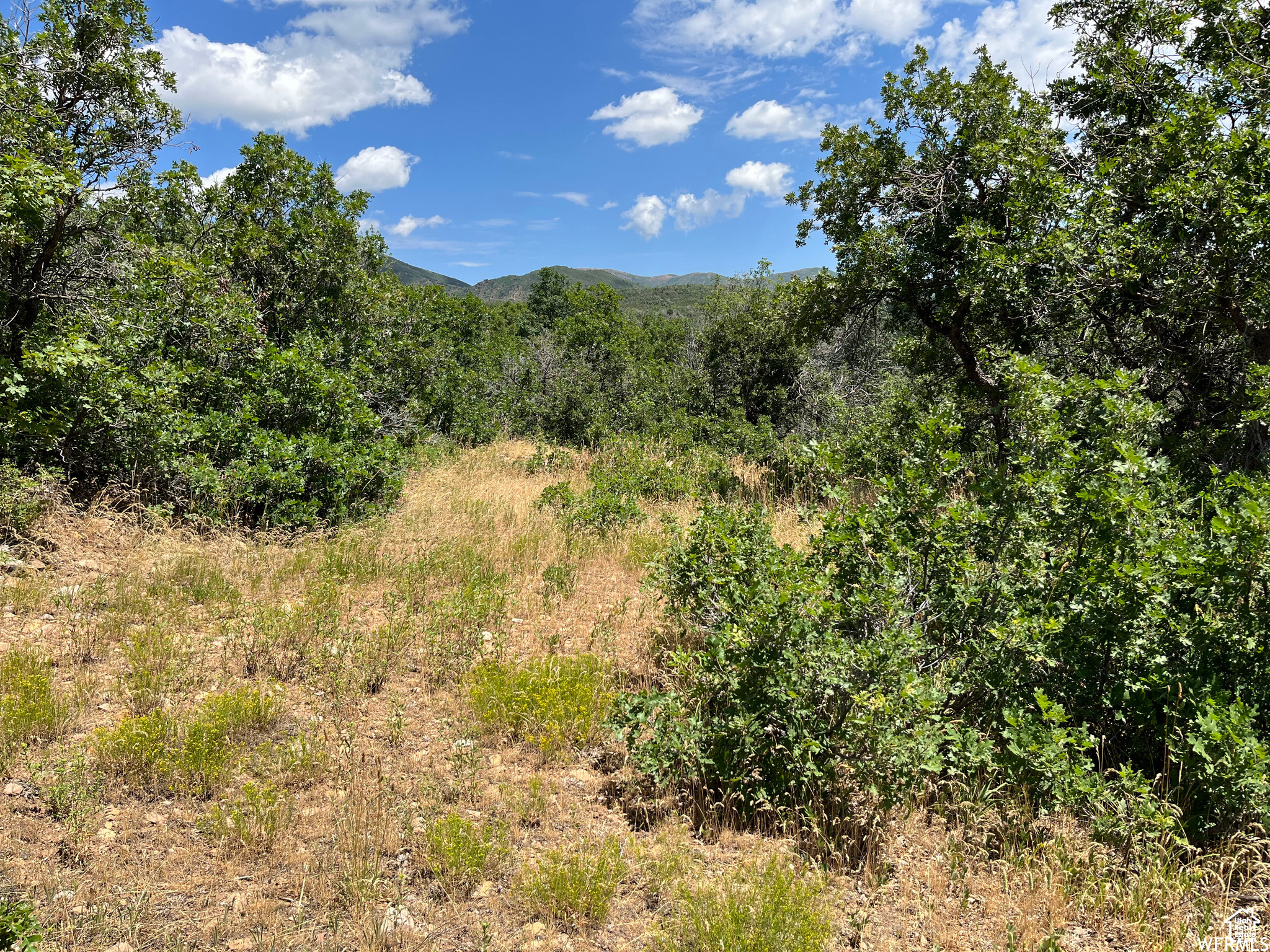 #41, Springville, Utah image 10