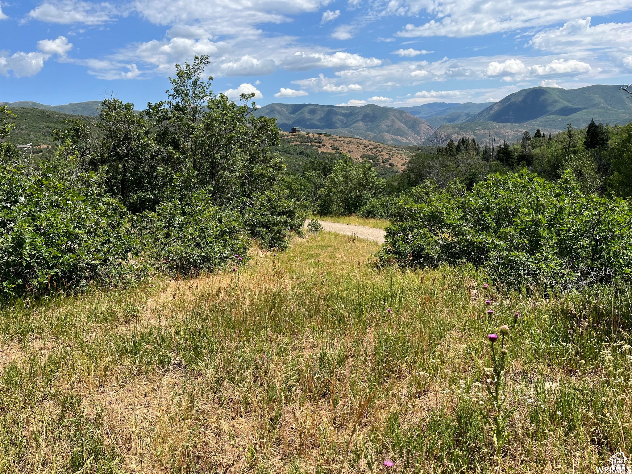 #41, Springville, Utah image 8