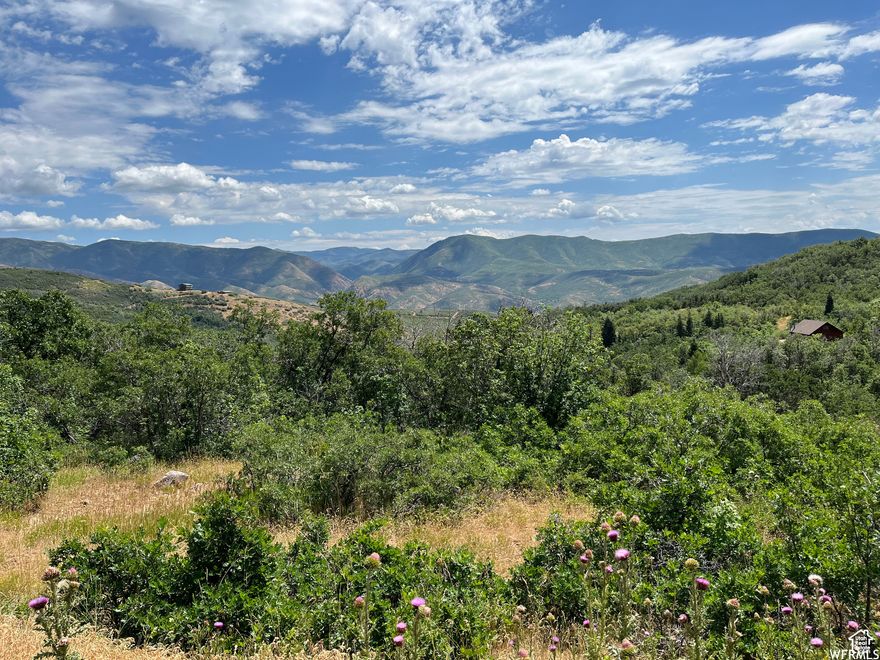 Beautiful lot located up Hobble Creek Canyon. 2 flat buildable areas on this nice piece of property, with an upper & lower road for accessibility. (1 building permit  to 3 acres , livestock including horses must be corralled at least 500 ft away from neighboring homes) Seasonal creek & area for RV parking. Minutes to Hobble Creek golf course, hiking, biking, side by side trails, horseback riding, fishing, snowmobiling, etc... Serene mountain vies with all kinds of wildlife to call your neighbors. This land borders BLM & Nebo District land for added wooded privacy! Only 20 minutes from town. Gated community.