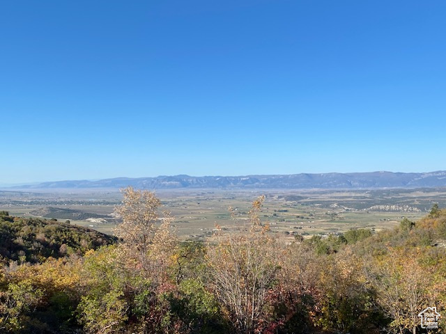 LEGACY MOUNTAIN, THE HOLLOWS - Land