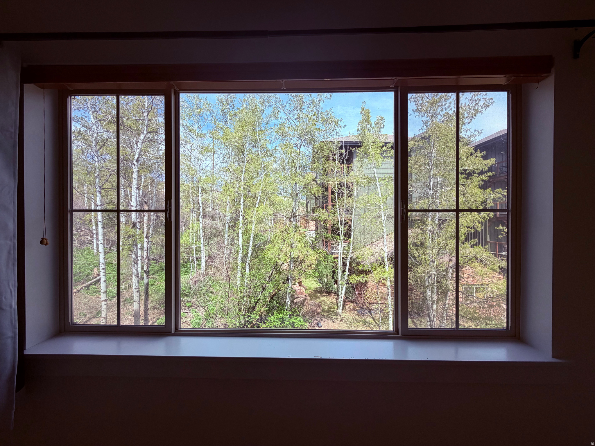 BEAR HOLLOW VILLAGE - Residential