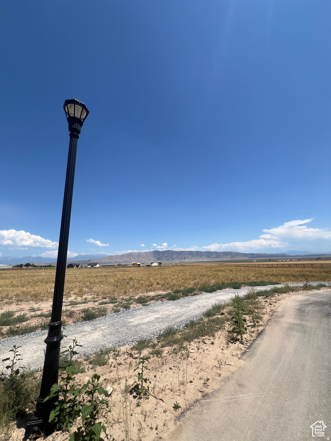 FIREFLY RACHES - Land