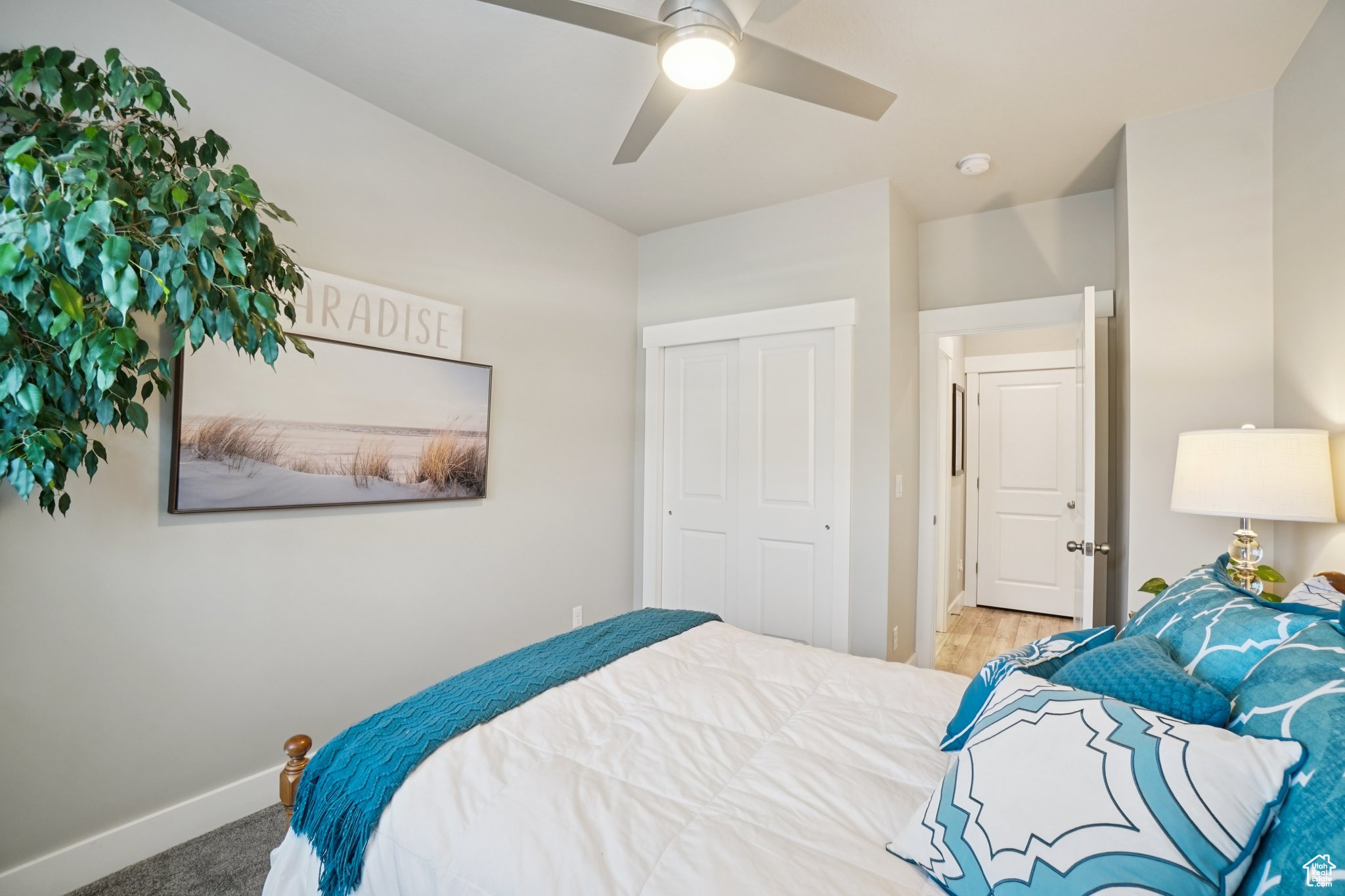 WANDER - Residential