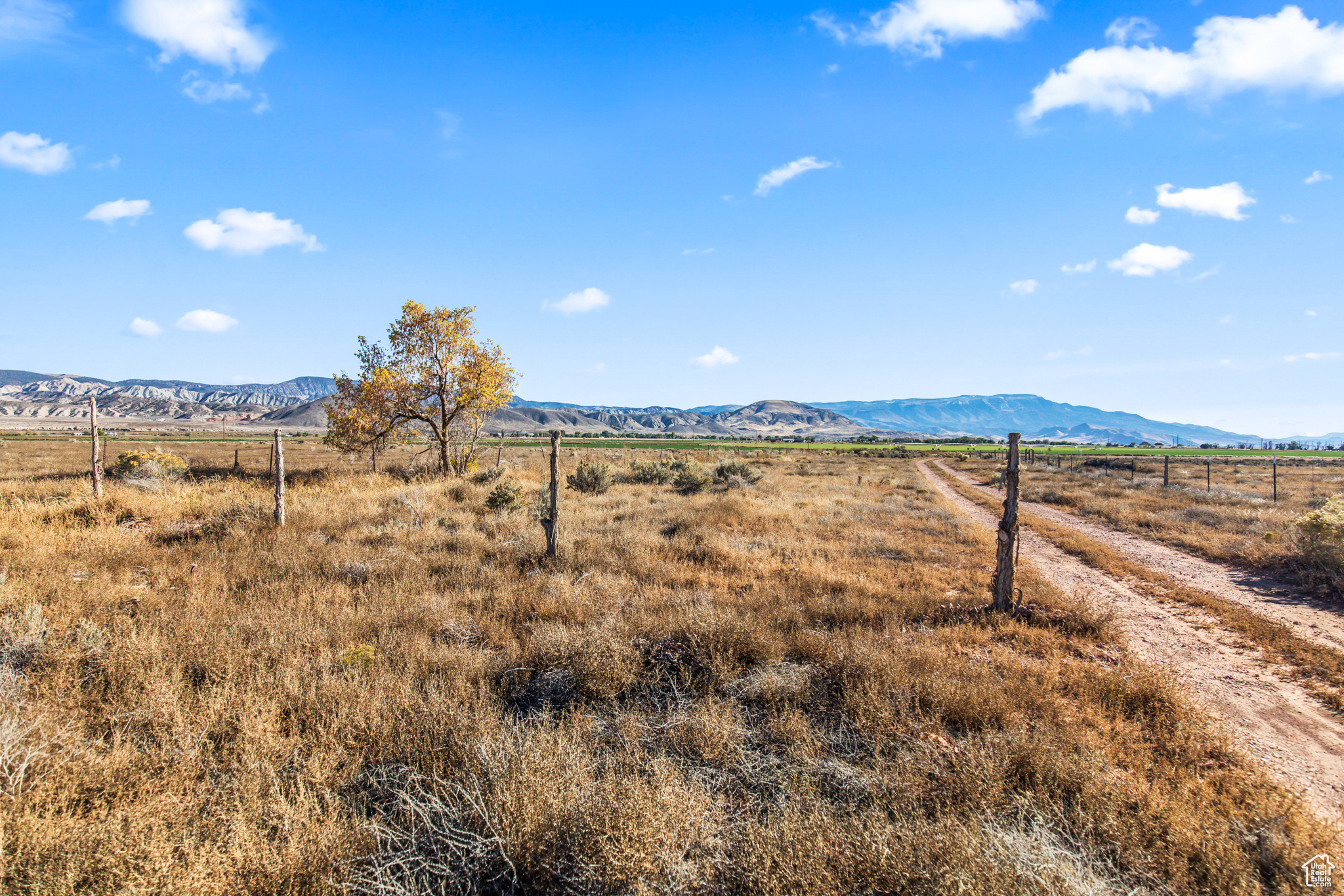 Land, Sigurd, Utah image 1