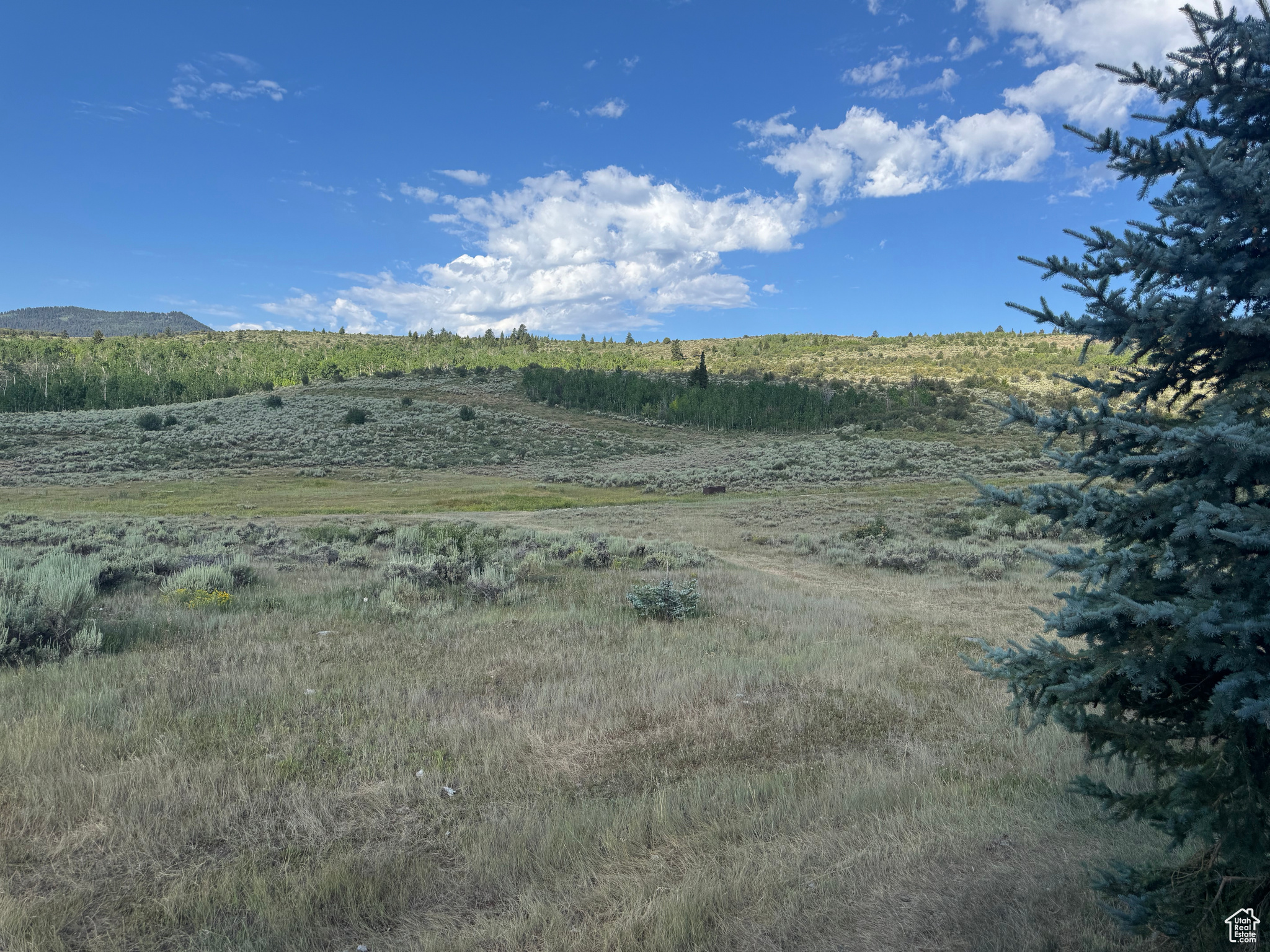 BEAR LAKE RANCHES - Land