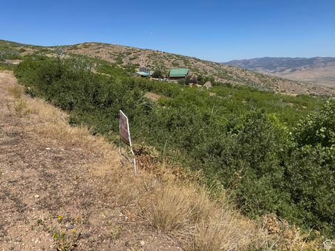Tiny photo for 48 N INDIAN RIDGE DR #N45-48, Indianola, UT 84629 (MLS # 2104116)