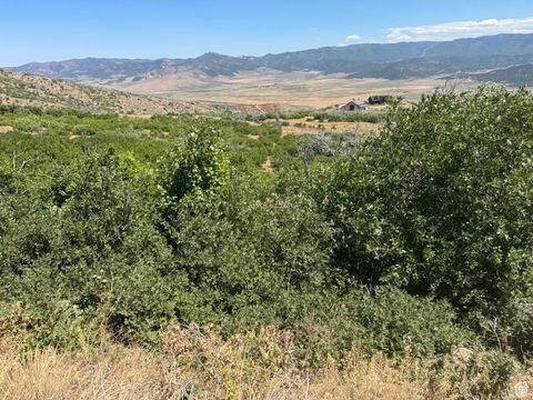 Tiny photo for 48 N INDIAN RIDGE DR #N45-48, Indianola, UT 84629 (MLS # 2104116)