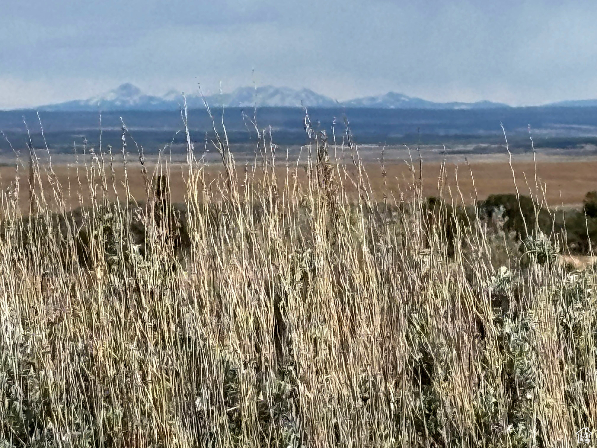 123 E Hickman Flats Rd, Monticello, Utah image 36