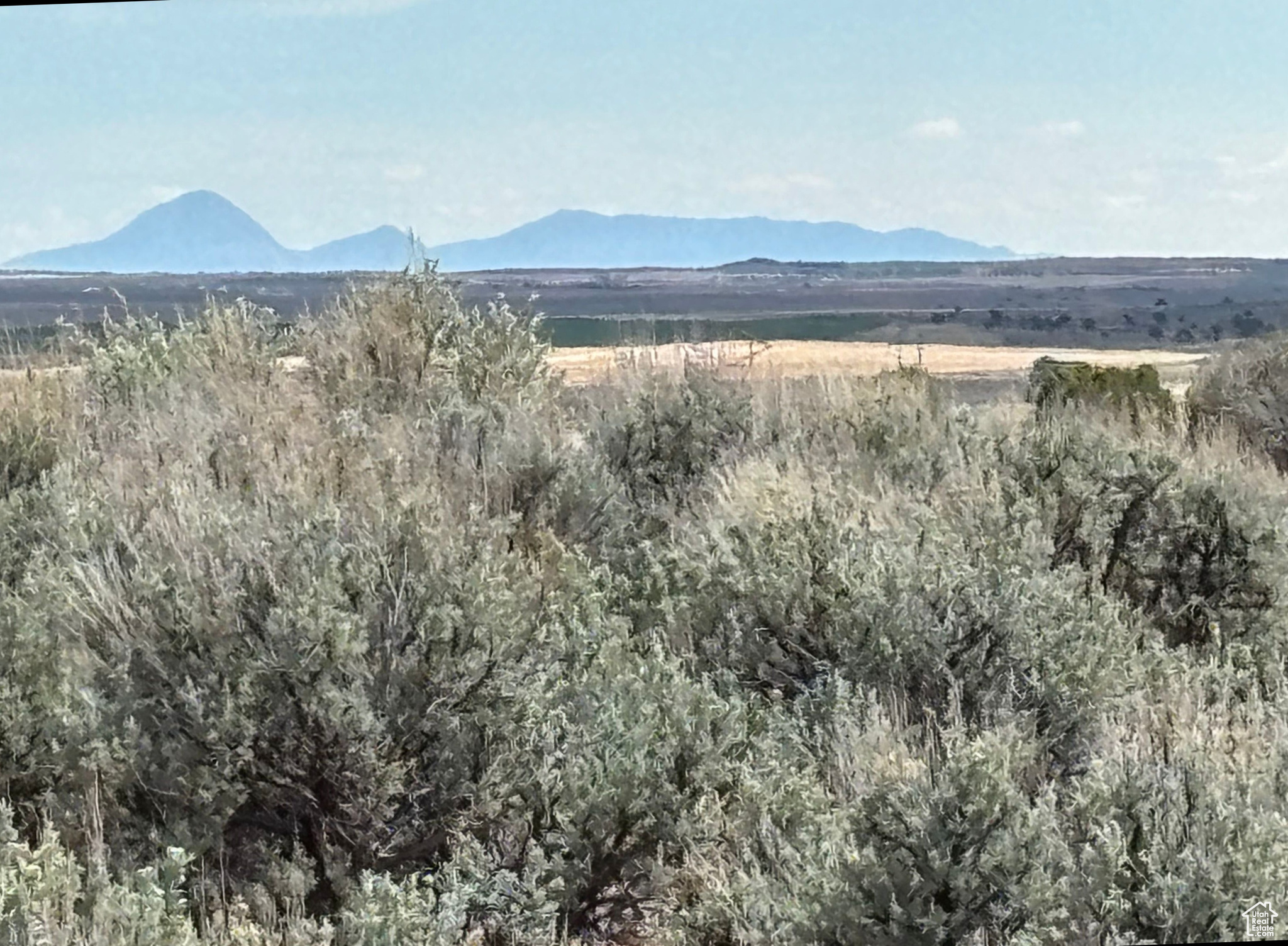 123 E Hickman Flats Rd, Monticello, Utah image 14