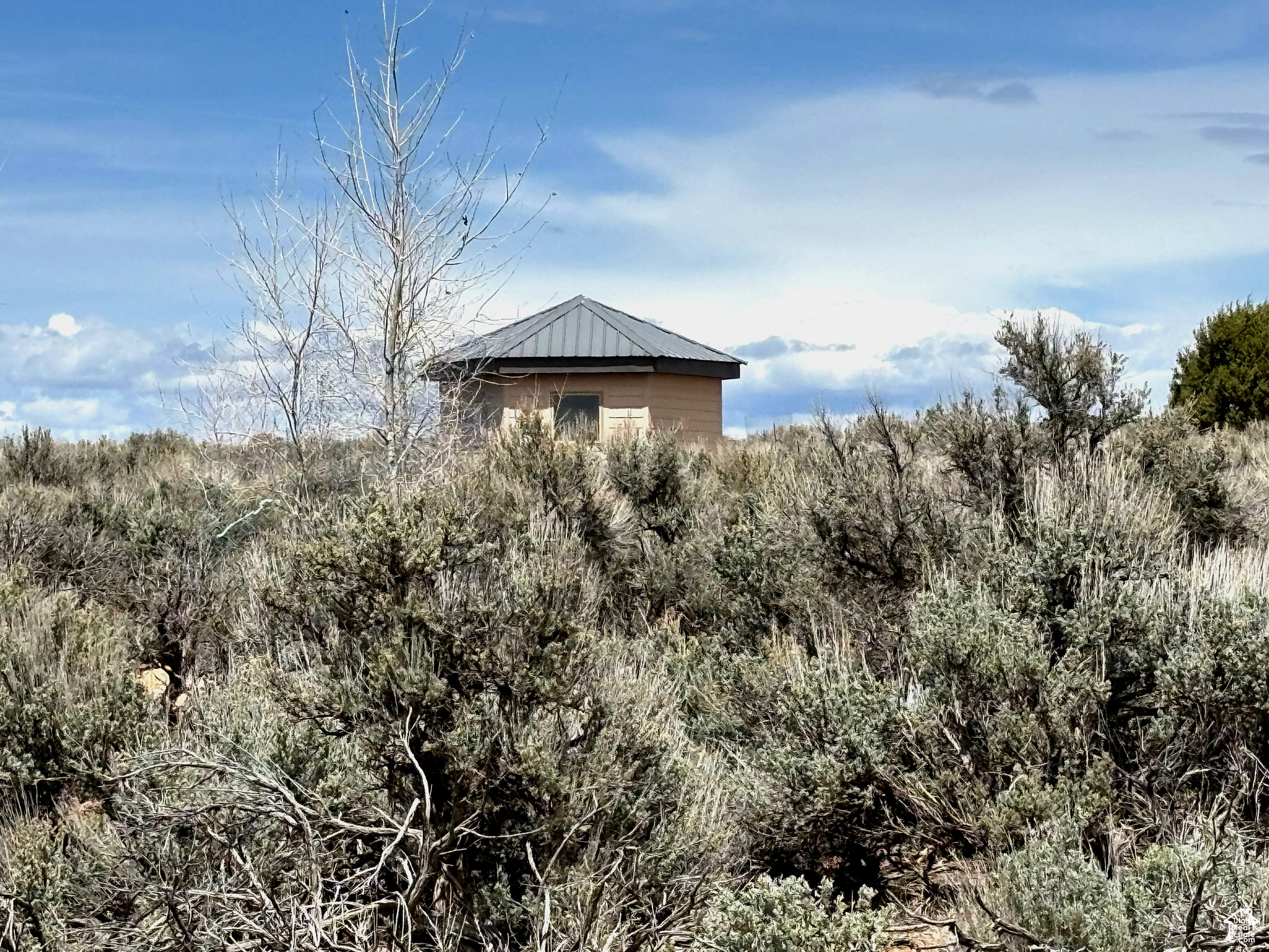 123 E Hickman Flats Rd, Monticello, Utah image 4