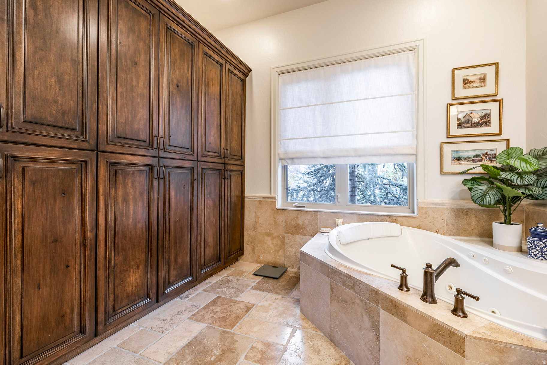 THE COVE AT BEAR CAN - Residential