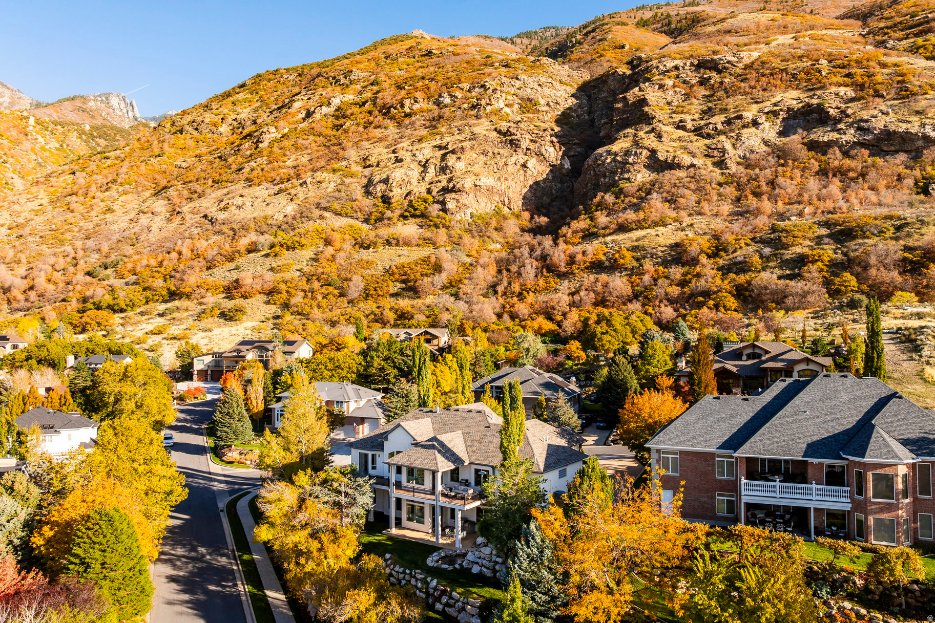 THE COVE AT BEAR CAN - Residential