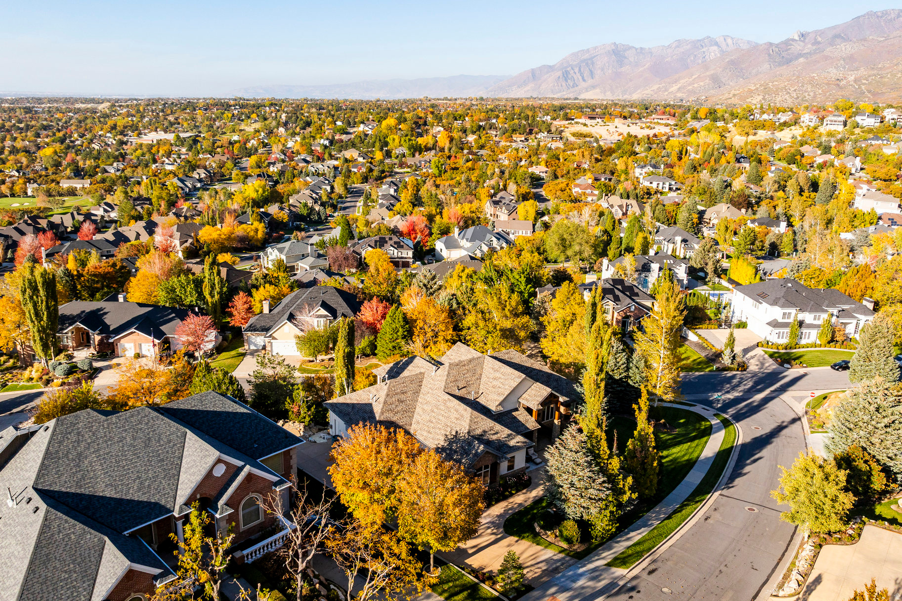THE COVE AT BEAR CAN - Residential