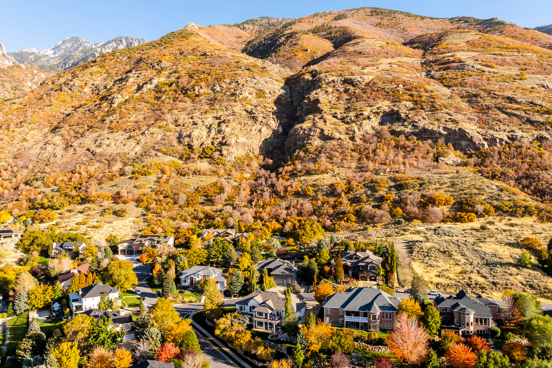 THE COVE AT BEAR CAN - Residential