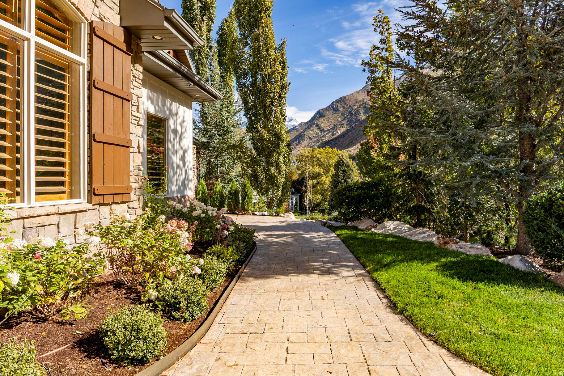 THE COVE AT BEAR CAN - Residential