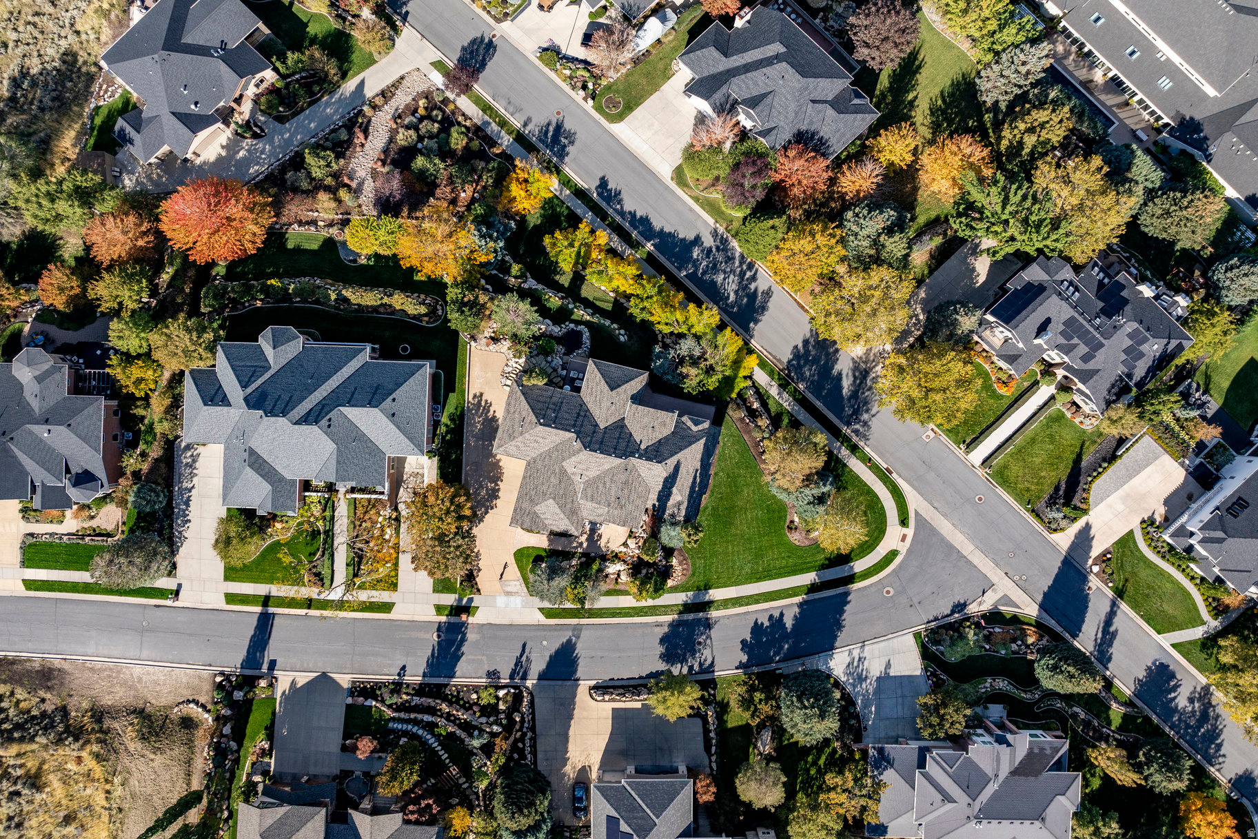THE COVE AT BEAR CAN - Residential