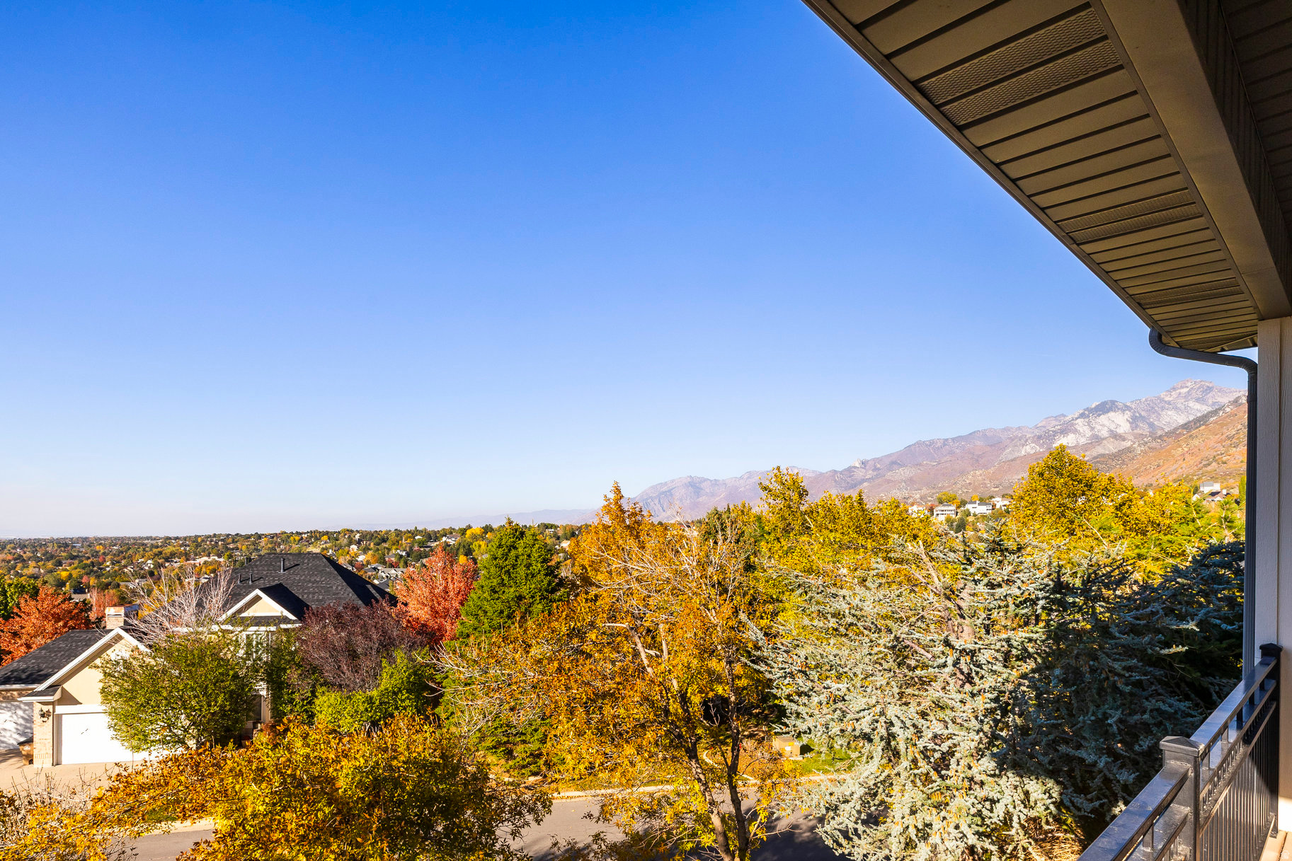 THE COVE AT BEAR CAN - Residential