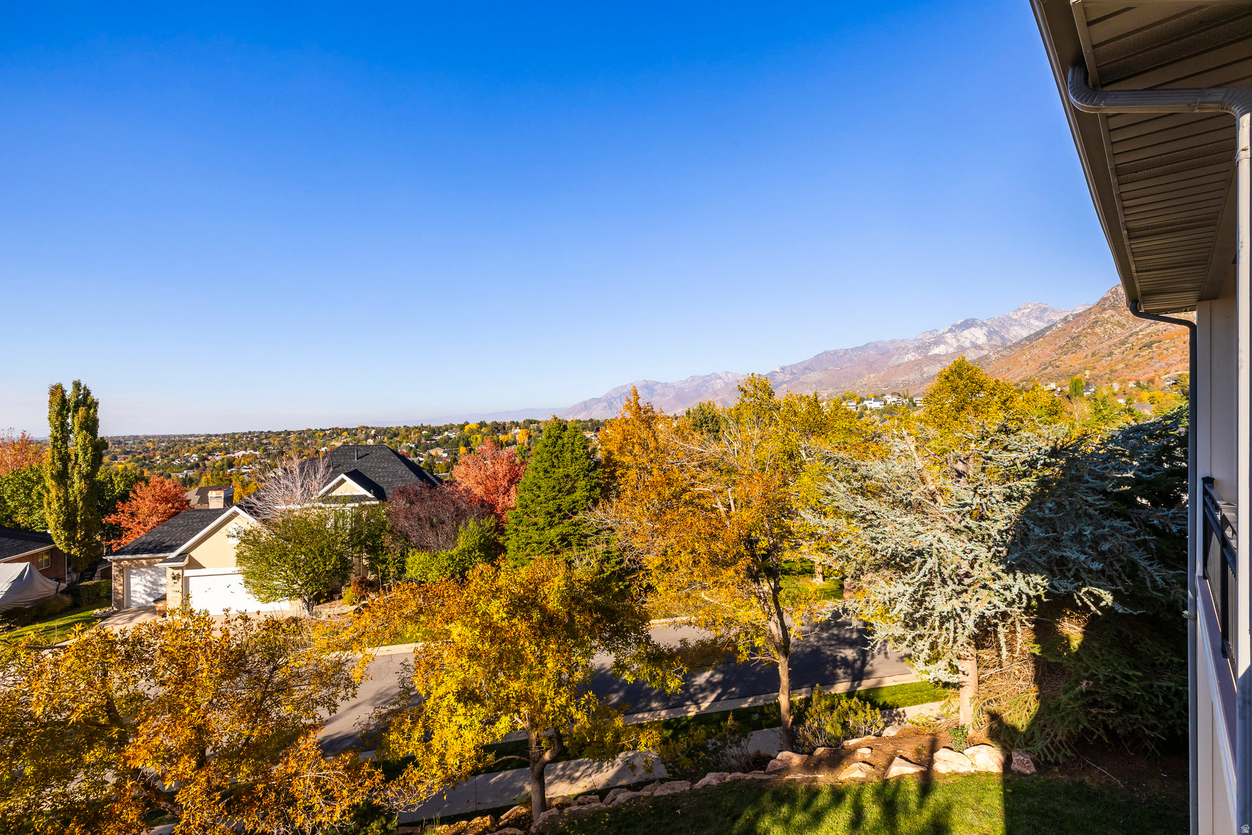 THE COVE AT BEAR CAN - Residential