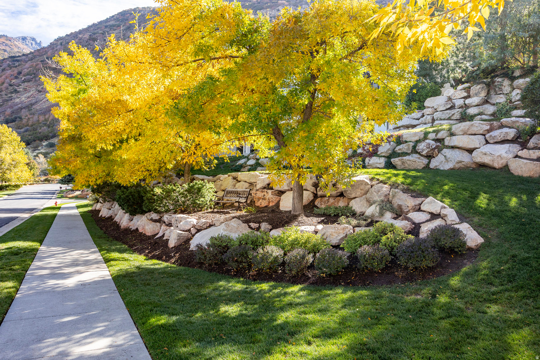 THE COVE AT BEAR CAN - Residential