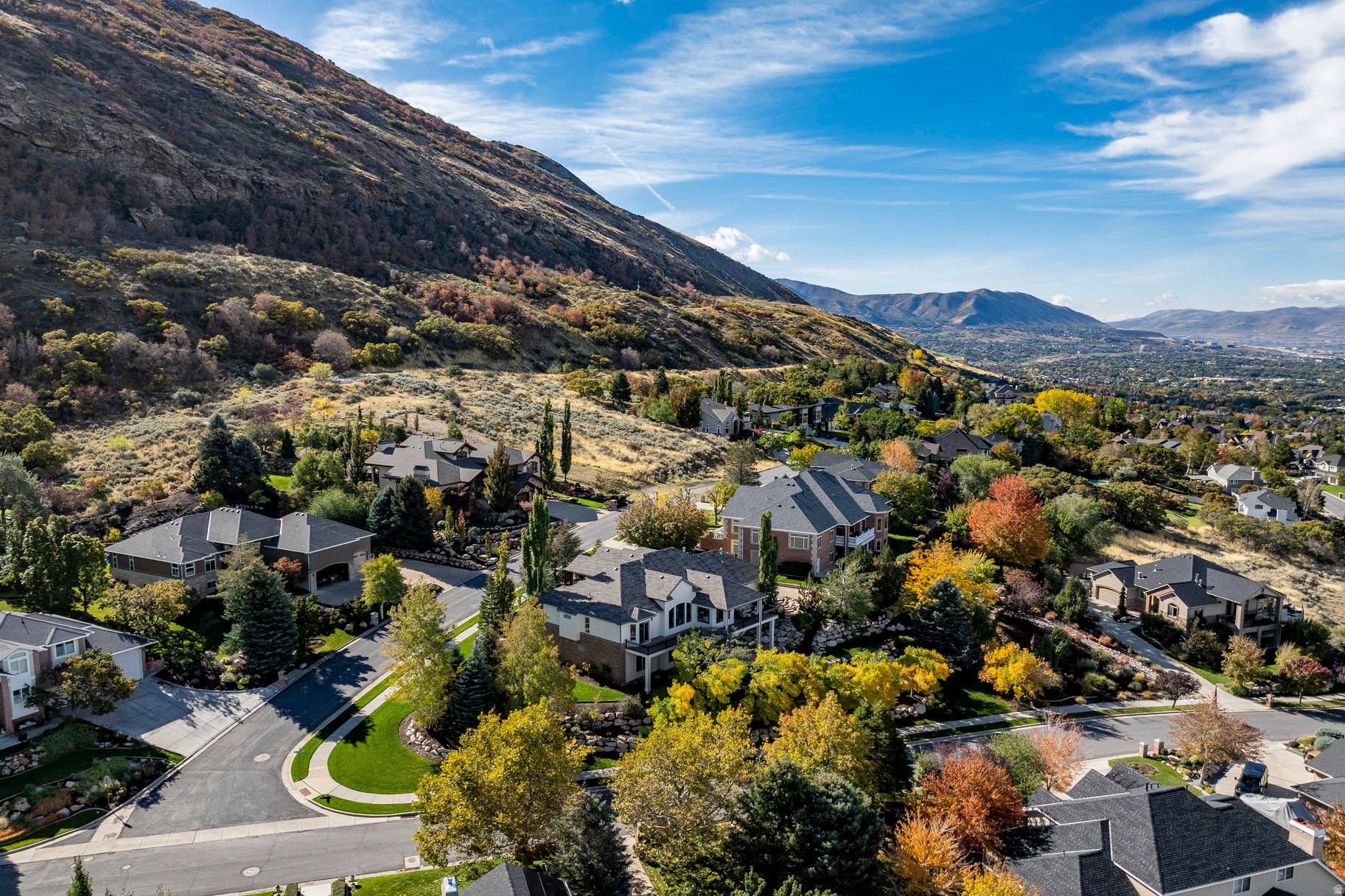 THE COVE AT BEAR CAN - Residential