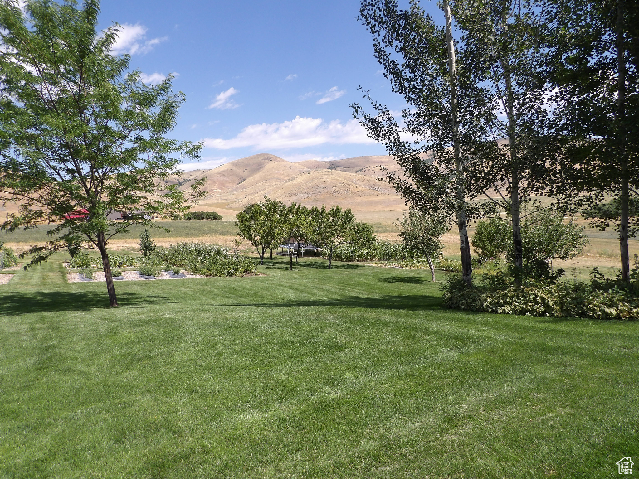 2137 Lakeview Cir #7,6, Preston, Idaho image 3