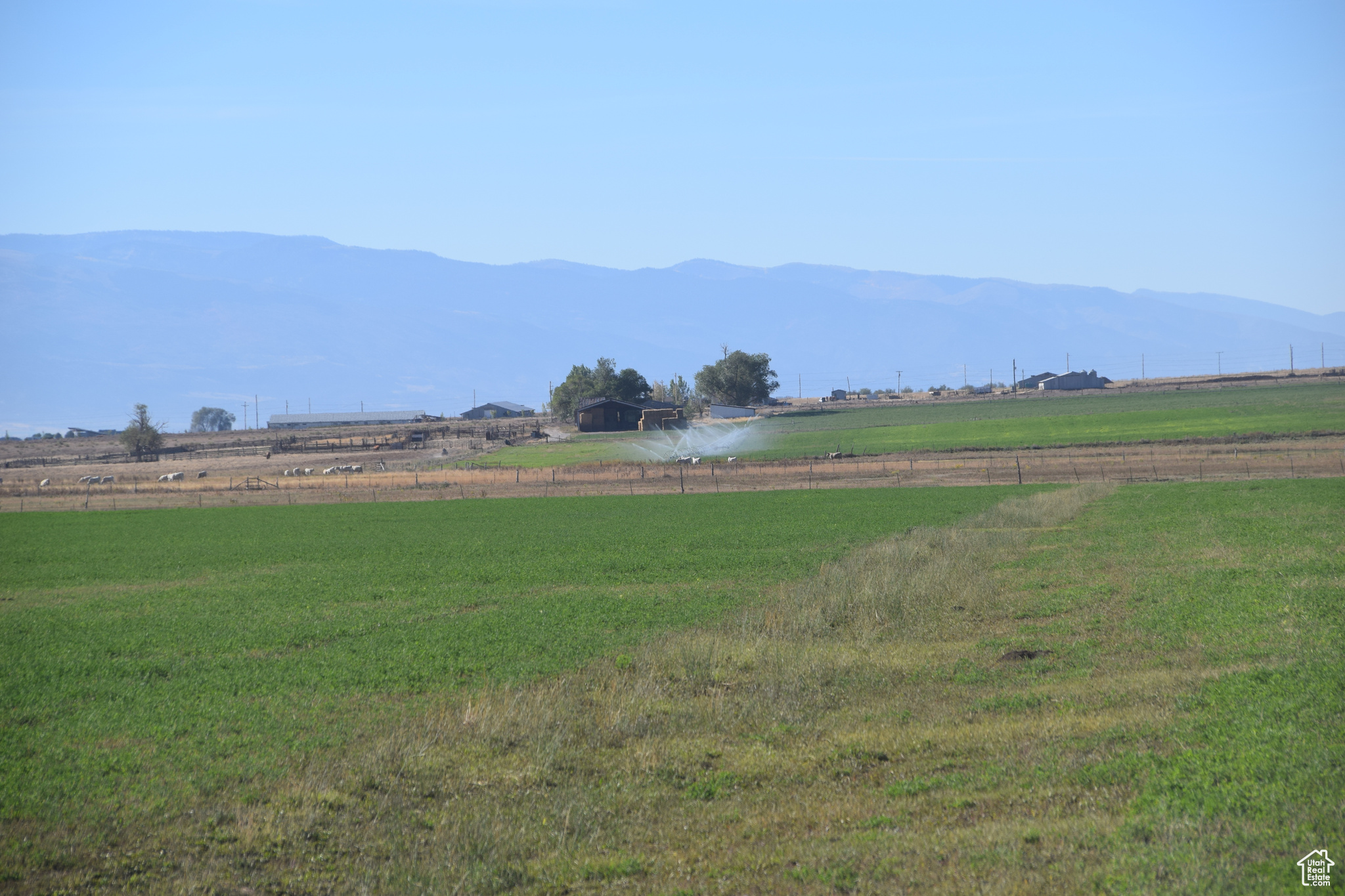 Land, Fountain Green, Utah image 16