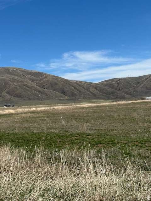 LYNN HILL SUBDIVISION - Land