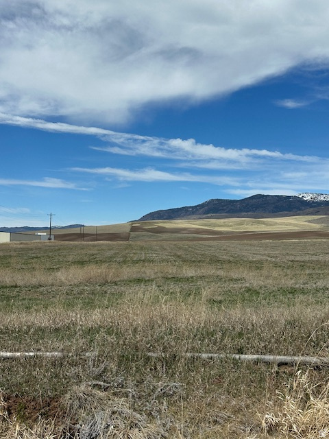 LYNN HILL SUBDIVISION - Land