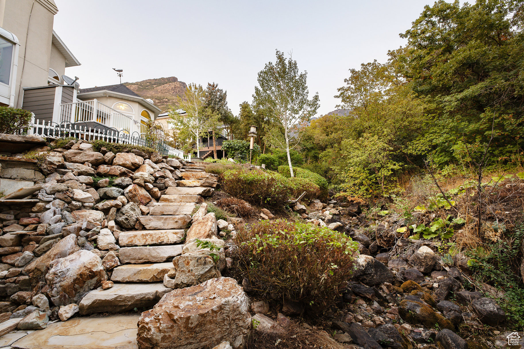 CANYON COVE - Residential