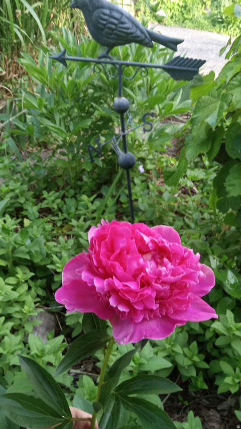 Tiny photo for 2707 S POLK AVE E, Ogden, UT 84403 (MLS # 2126966)