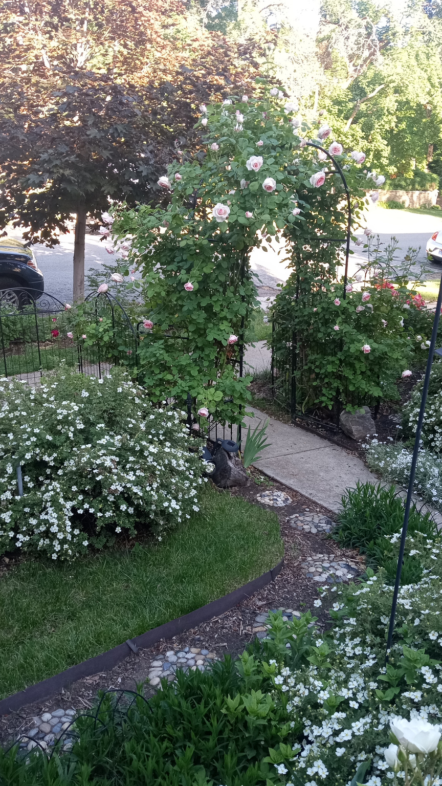 HIGHLAND ADDITION - Residential