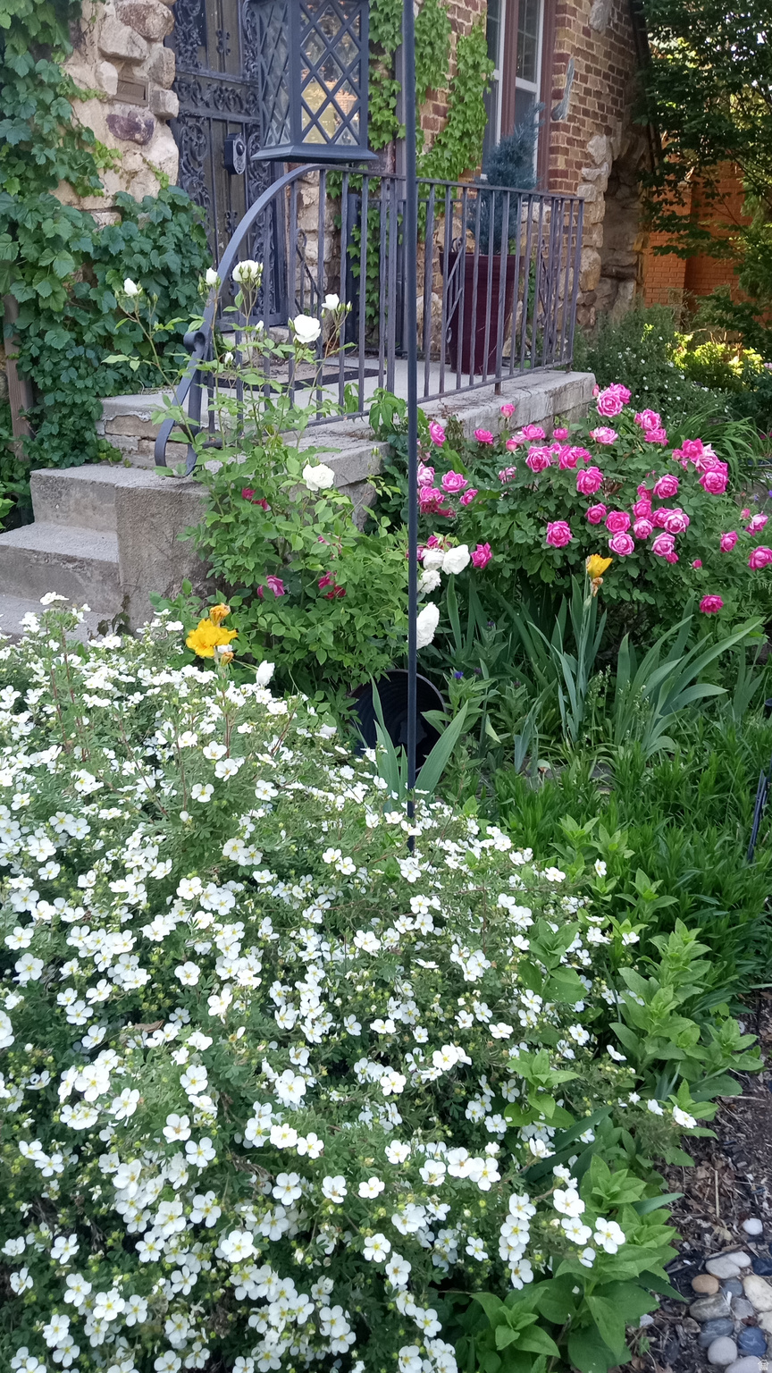 HIGHLAND ADDITION - Residential