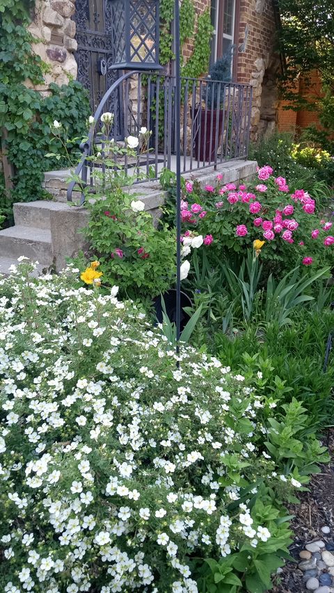 Tiny photo for 2707 S POLK AVE E, Ogden, UT 84403 (MLS # 2126966)