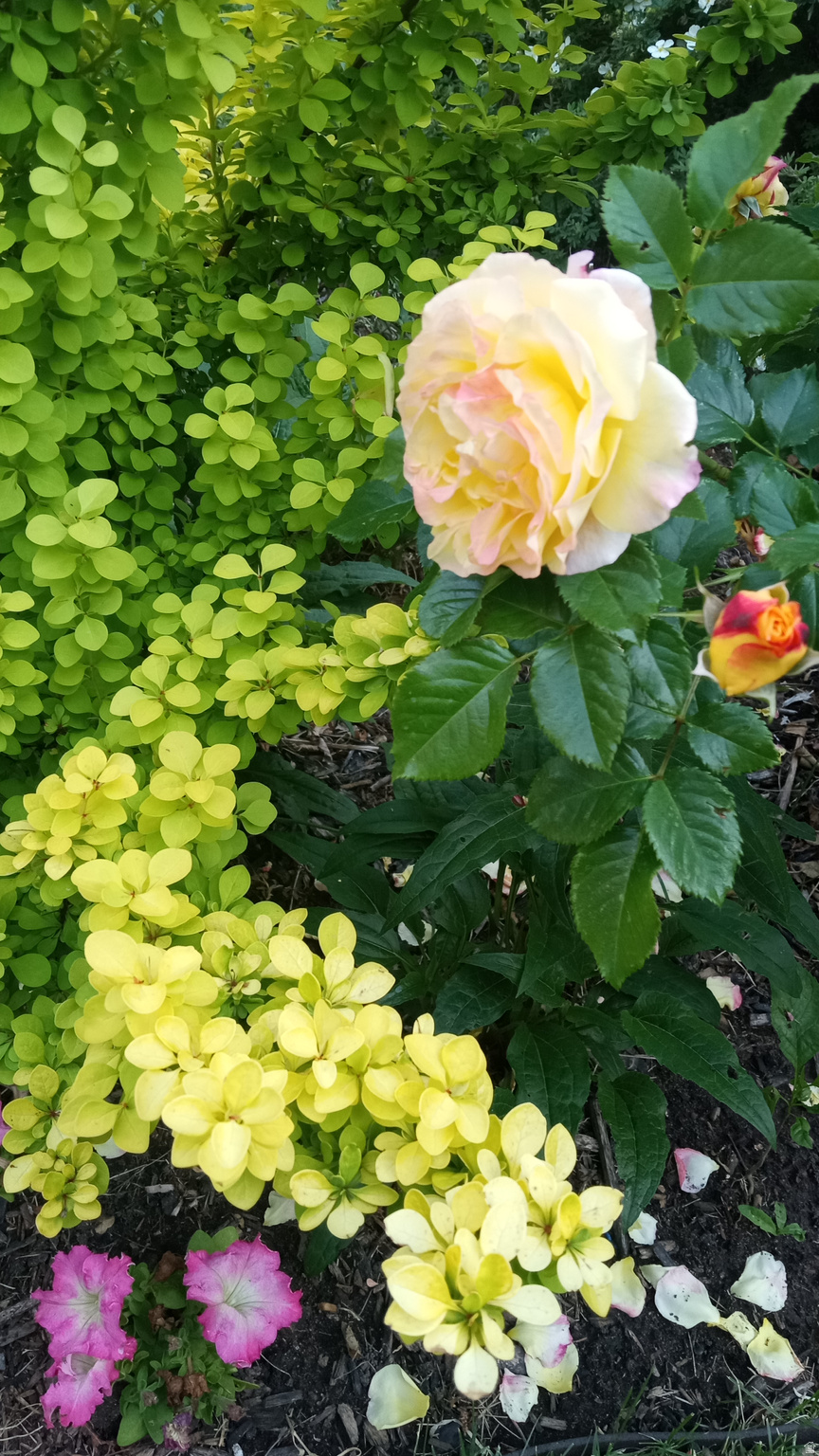 HIGHLAND ADDITION - Residential